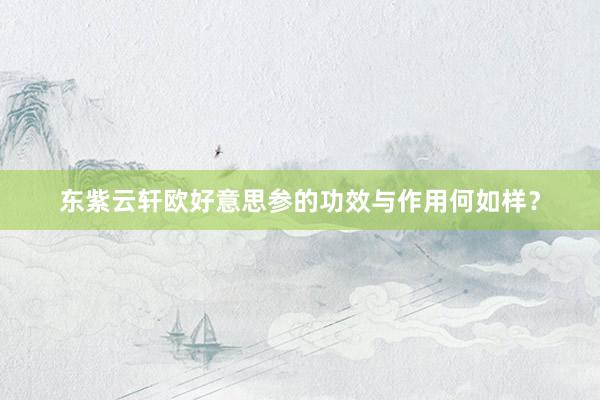 东紫云轩欧好意思参的功效与作用何如样？