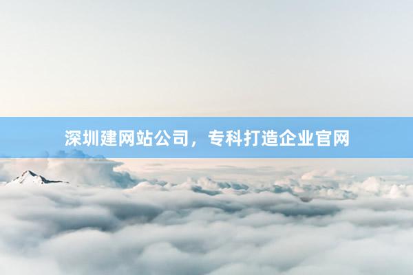 深圳建网站公司，专科打造企业官网